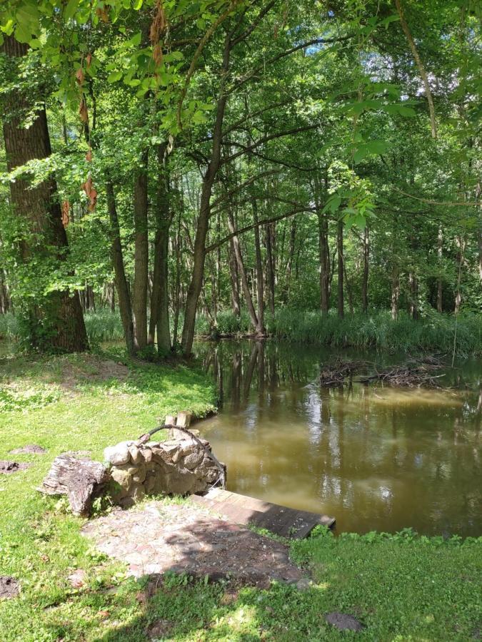 Agroturystyka Kajaki Sauna Pierogi Bakalarzewo Dış mekan fotoğraf