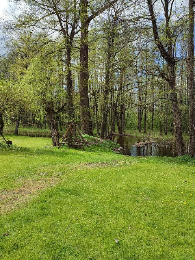 Agroturystyka Kajaki Sauna Pierogi Bakalarzewo Dış mekan fotoğraf